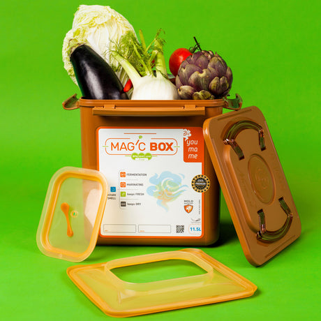 MAGiC BOX - Molio spalvos