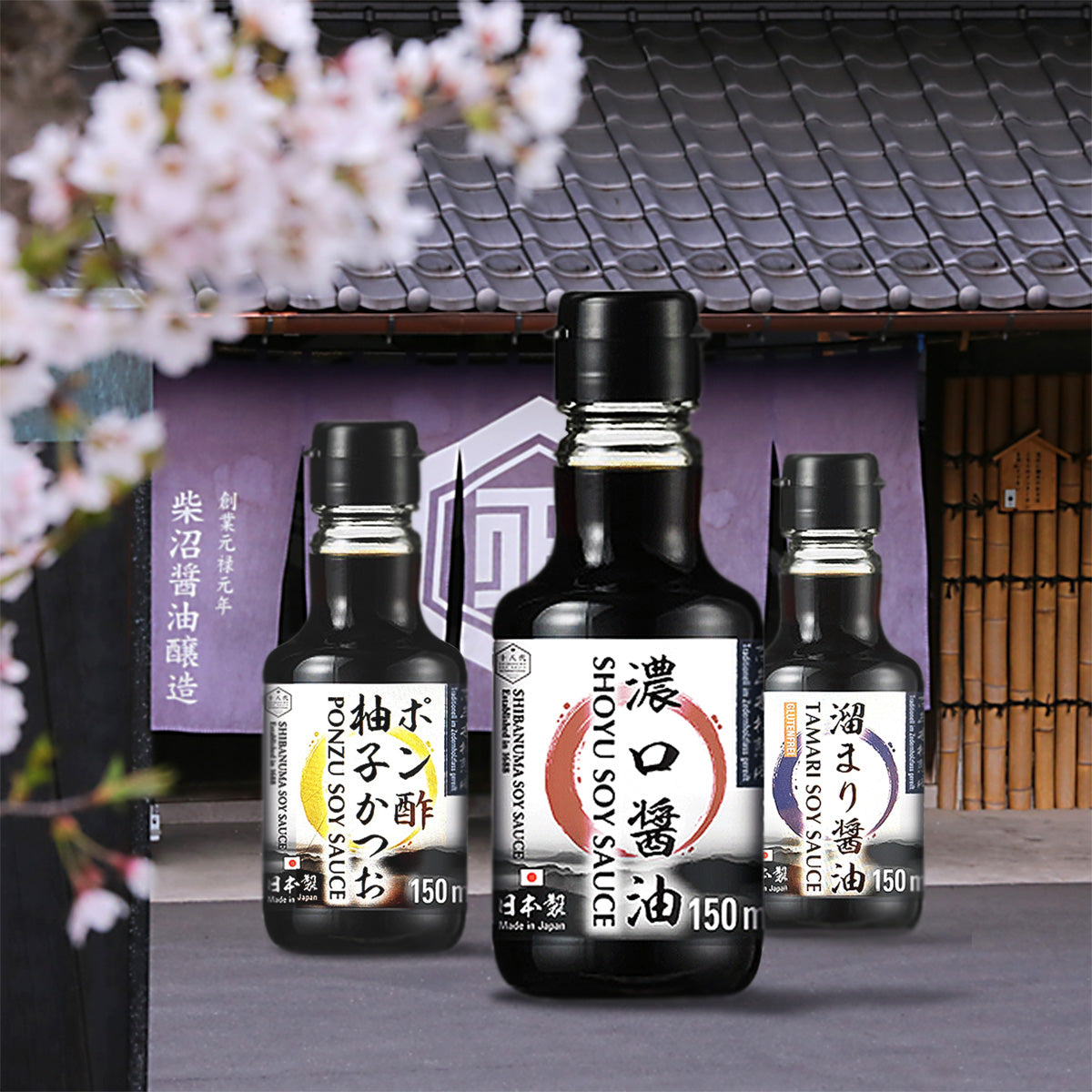 Soy Ninja Set SHIBANUMA